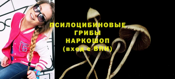 индика Алзамай