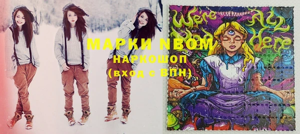 индика Алзамай