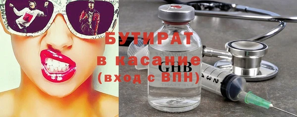 индика Алзамай