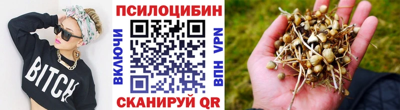 наркотики  Губкин  Псилоцибиновые грибы Magic Shrooms 